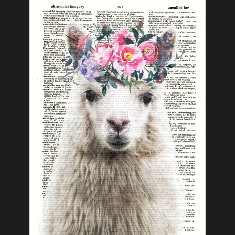 Llama Alpaca Dictionary Art Print Decor